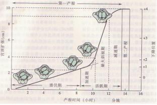 2010年醫(yī)療器械行業(yè)即將進入高標準時代